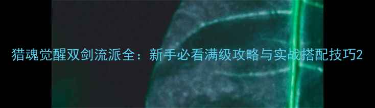 图片 猎魂觉醒双剑流派全：新手必看满级攻略与实战搭配技巧2