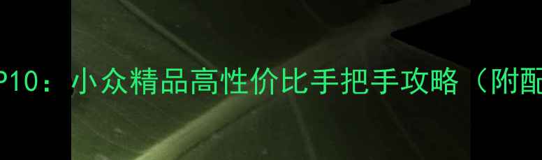 图片 电脑单机游戏推荐TOP10：小众精品高性价比手把手攻略（附配置需求与避坑指南）