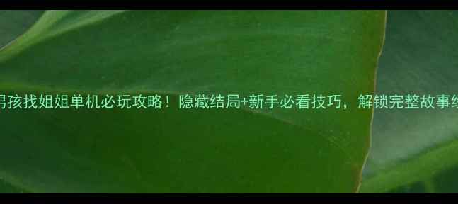 图片 男孩找姐姐单机必玩攻略！隐藏结局+新手必看技巧，解锁完整故事线