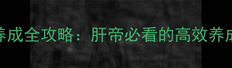 图片 福娃养成全攻略：肝帝必看的高效养成指南