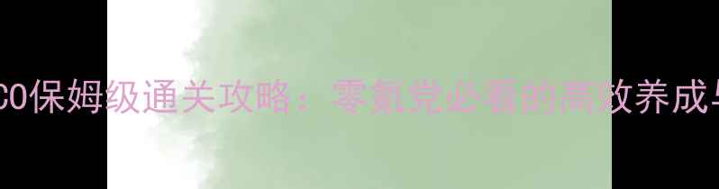 图片 空之轨迹FECO保姆级通关攻略：零氪党必看的高效养成与BOSS战全2