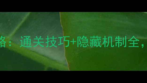图片 精绝古城3密室逃脱保姆级攻略：通关技巧+隐藏机制全，手残党也能秒杀终极BOSS！2