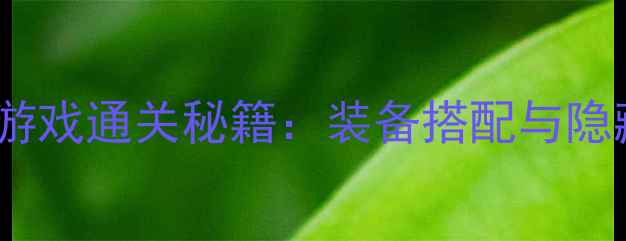 图片 经典单机打怪游戏通关秘籍：装备搭配与隐藏BOSS打法全2