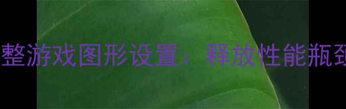 图片 调整游戏图形设置：释放性能瓶颈2