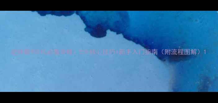 图片 逆转裁判5代必看攻略：5大核心技巧+新手入门指南（附流程图解）1