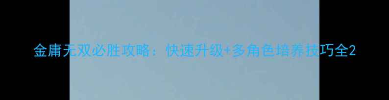 图片 金庸无双必胜攻略：快速升级+多角色培养技巧全2