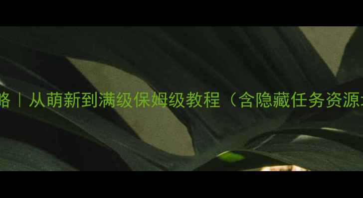 图片 黑双子全平台攻略｜从萌新到满级保姆级教程（含隐藏任务资源地图速通技巧）2