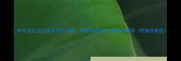 图片 🌟单机游戏安全模式进阶攻略：解锁隐藏功能+防删档指南（附操作教程）