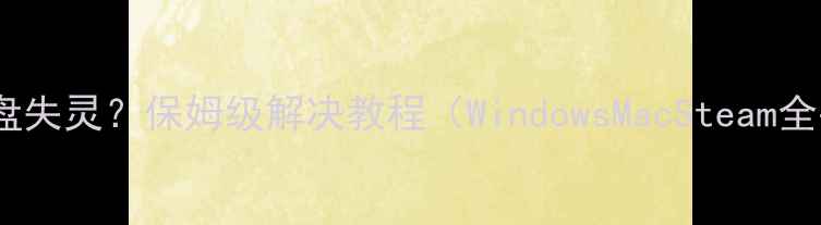 图片 🌟单机游戏键盘失灵？保姆级解决教程（WindowsMacSteam全平台覆盖）🌟2