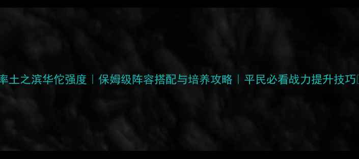 图片 🌟率土之滨华佗强度｜保姆级阵容搭配与培养攻略｜平民必看战力提升技巧🌟2