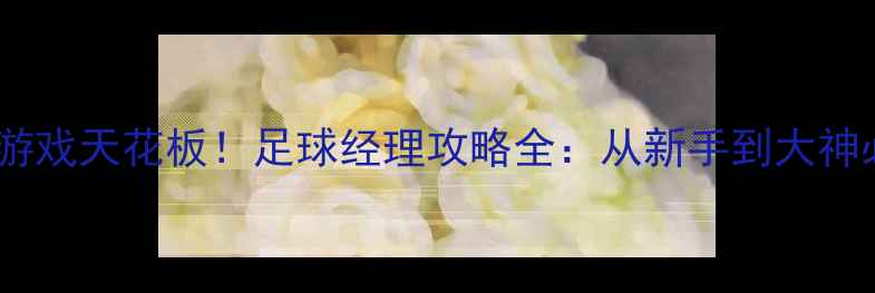 图片 🌟足球单机游戏天花板！足球经理攻略全：从新手到大神必备技巧🌟1