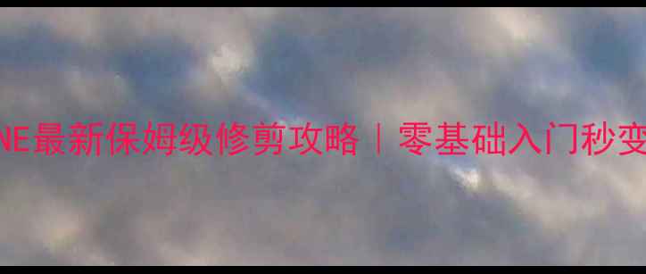 图片 🌱PRUNE最新保姆级修剪攻略｜零基础入门秒变大神1