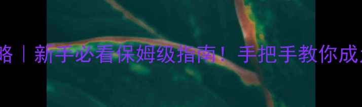 图片 🎮TheCrew高分攻略｜新手必看保姆级指南！手把手教你成为海陆空三栖大神