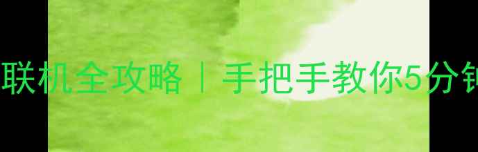 图片 🎮无主之地2单机远程联机全攻略｜手把手教你5分钟开启跨平台对战！💥