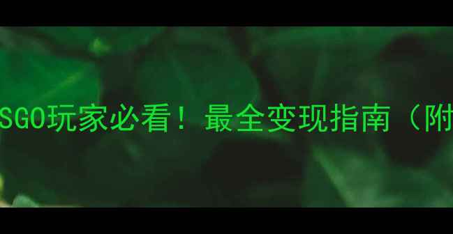 图片 💣开篇暴击：CSGO玩家必看！最全变现指南（附防封号技巧）2