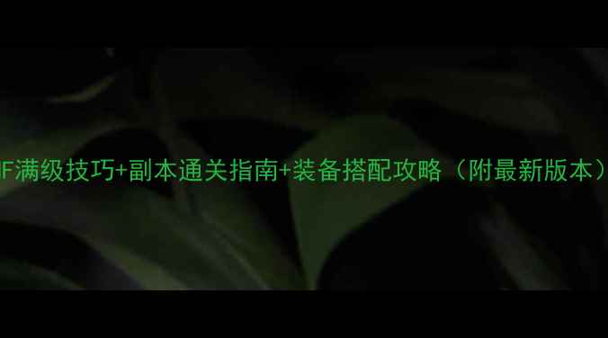 图片 📌DNF满级技巧+副本通关指南+装备搭配攻略（附最新版本）🎮1