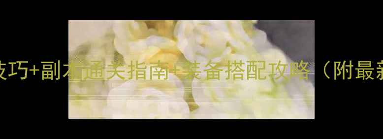 图片 📌DNF满级技巧+副本通关指南+装备搭配攻略（附最新版本）🎮2