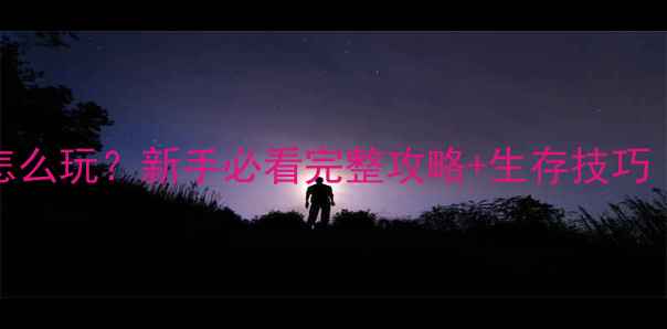 图片 📌DayZ单机模式怎么玩？新手必看完整攻略+生存技巧（附坐标地图）🌍