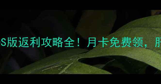 图片 📌单机西游iOS版返利攻略全！月卡免费领，肝帝必看技巧2