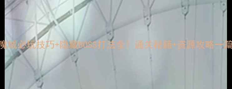 图片 🔥SFC恶魔城必玩技巧+隐藏BOSS打法全！通关秘籍+资源攻略一篇搞定🔥2