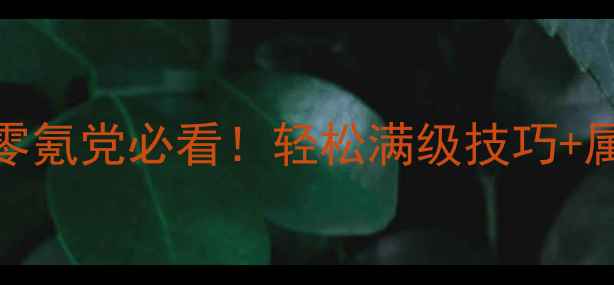 图片 🔥SaoFB保姆级加点攻略｜零氪党必看！轻松满级技巧+属性分配表（附实测数据）2