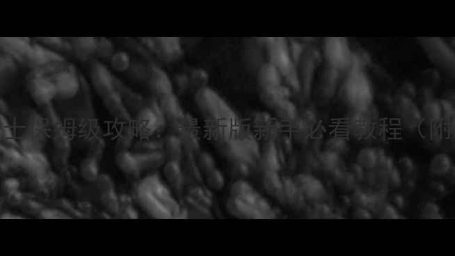 图片 🔥上古卷轴4天际九骑士保姆级攻略：最新版新手必看教程（附装备阵容隐藏任务）2