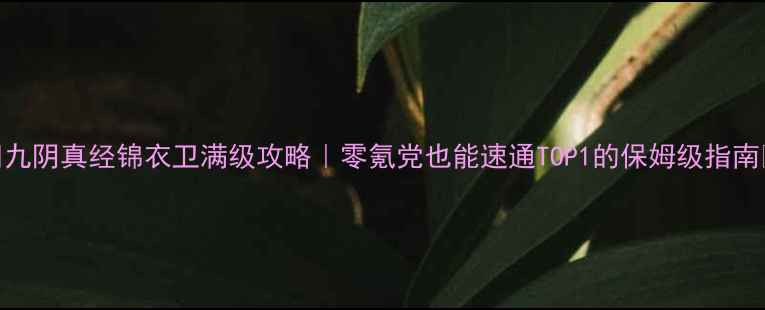 图片 🔥九阴真经锦衣卫满级攻略｜零氪党也能速通TOP1的保姆级指南✨