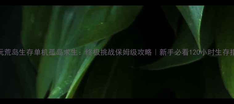 图片 🔥必玩荒岛生存单机孤岛求生：终极挑战保姆级攻略｜新手必看120小时生存指南✨