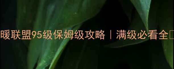 图片 🔥暖暖联盟95级保姆级攻略｜满级必看全🎮💡1