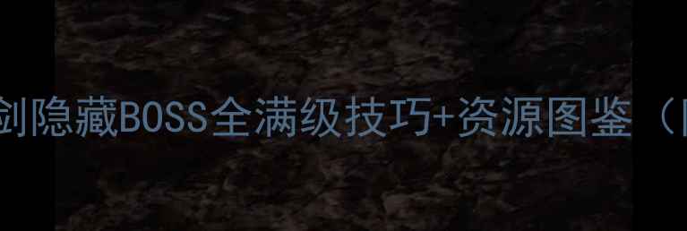 图片 🔥暗黑龙与光之剑隐藏BOSS全满级技巧+资源图鉴（附中文版下载）1