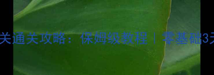 图片 🔥疯狂大厨65关通关攻略：保姆级教程｜零基础3天速成大厨🔥2