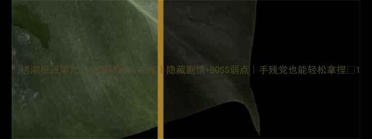 图片 🔥绣湖根源第九关保姆级通关攻略｜隐藏剧情+BOSS弱点｜手残党也能轻松拿捏💥1