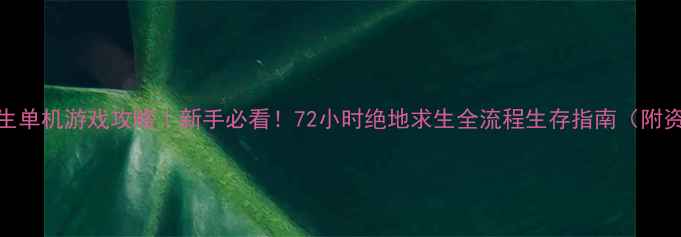 图片 🔥荒岛求生单机游戏攻略｜新手必看！72小时绝地求生全流程生存指南（附资源地图）