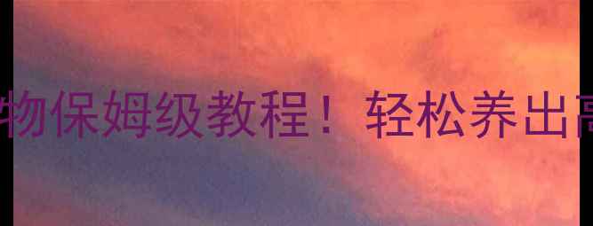 图片 🔥魔兽世界单机版必玩攻略AIBot宠物保姆级教程！轻松养出高颜值神兽（附安装包+新手礼包）2
