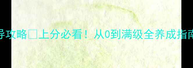 图片 🔥龙之谷手游魔导攻略🌟上分必看！从0到满级全养成指南+装备搭配秘籍1