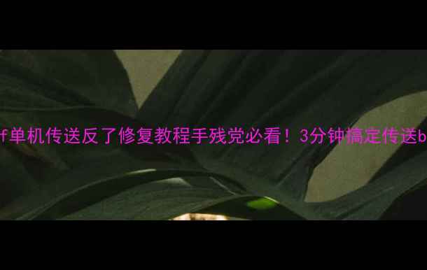 图片 🔧dnf单机传送反了修复教程手残党必看！3分钟搞定传送bug💥